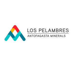 Los Pelambres - Logo