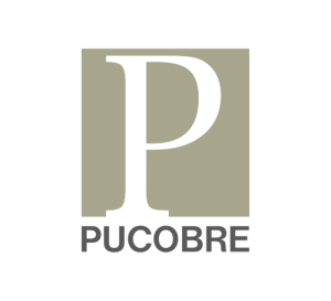 Pucobre - Logo